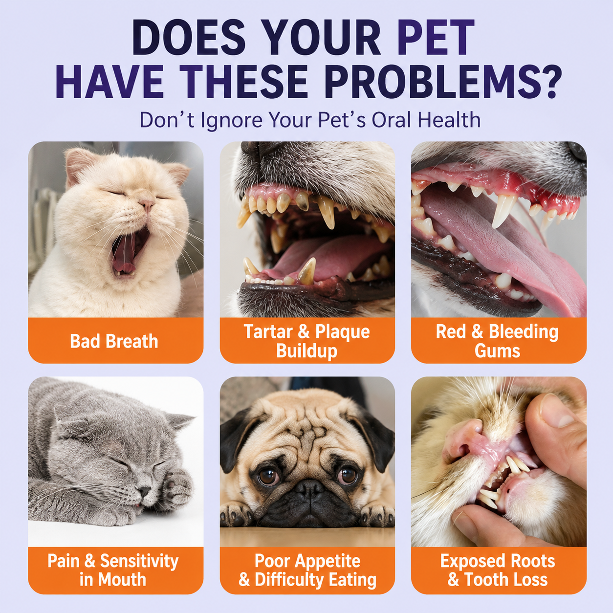 2-in-1 Pet Dental Care Pen | Toothpaste & Brush For Dogs & Cats